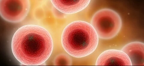 Coronavirus antibodies may last up to 4 months