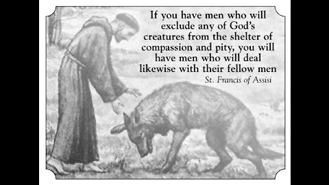 Animals Do Have Souls (according to the bible)