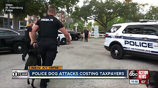 Police dog attacks costing taxpayers