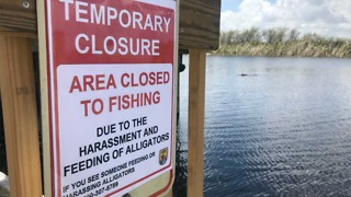 Arthur R. Marshall Loxahatchee National Wildlife Refuge Lee Rd boat ramps closing to bank fishing