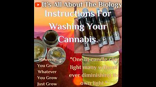 Instructions For Washing Your Cannabis.