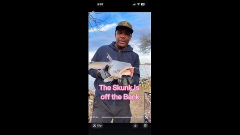 Getting the skunk off the bank