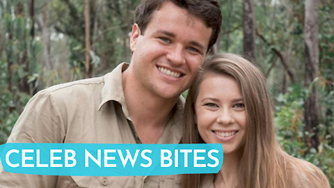 Bindi Irwin PREGNANT Announces She’s PREGNANT 5 Months After Wedding!