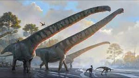 Dinosaur had longest neck ever seen in an animal