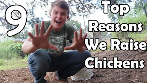 Top 9 Reasons We Raise Chickens!!