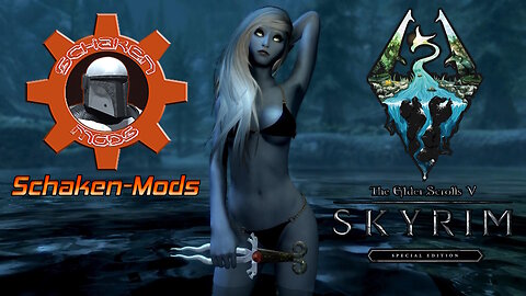 Skyrim SE - Rare Mods Review - Schaken Mods - Ninedalorian Assets
