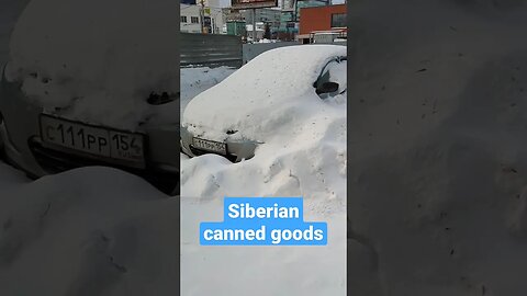 What happens to cars in Siberia in winter