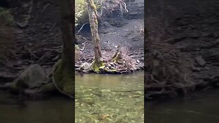 Waterfall Wednesday #vancityadventure #traveling #shortvideo #vancity #waterfall #waterfalls