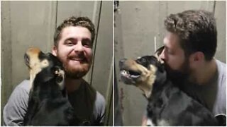 Cão não parece gostar muito dos beijinhos do dono