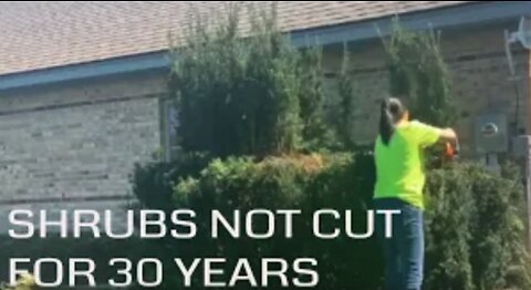 Shrubs not cut for 30 years!