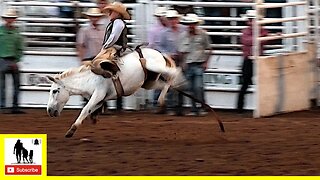 Donkey Riding 🤘 2022 Saint's Roost Ranch Rodeo | Saturday