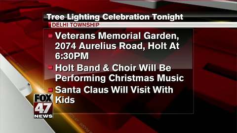 Tree lighting celebration tonight in Delhi Township