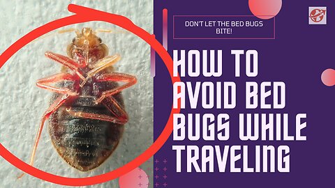 Travel Bug-Free: Your Ultimate Guide to Bed Bug Prevention