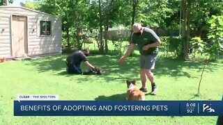 Local couple shares benefits of adopting pets ahead of our Clear the Shelters event