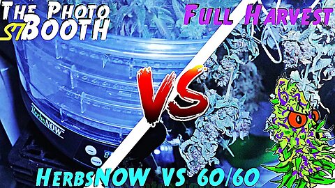 The Photo Booth S7 Ep. 12 | Full Havest | HerbsNOW VS Hang Dry 60/60 | AirCube System Grow