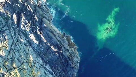 Ireland's Marine Life - Meet the Cast