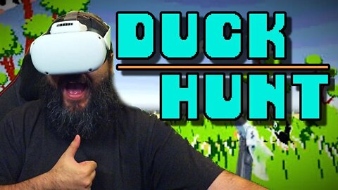 DUCK HUNT IN VR!!!!