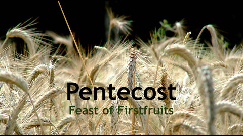 Pentecost — The Law and the Spirit