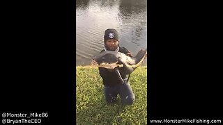 HUGE AMAZON FISH Caught in Tiny Neighborhood Pond!