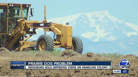 Neighbors at odds over prairie dog colony and new development in Weld County near Broomfield