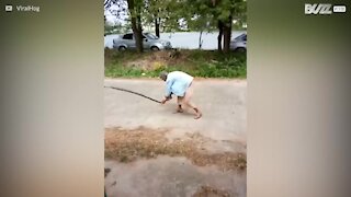 Bestemor dreper slange med bare hendene