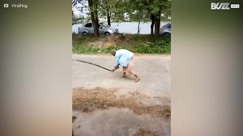 Bestemor dreper slange med bare hendene