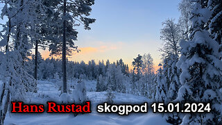 Skogpod 15. januar 2024