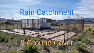 Rain Catchment & Garden Ground Cover