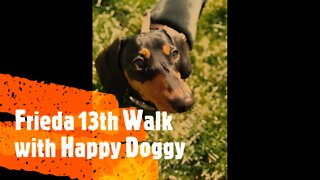 Frieda 13th Walk with Happy Doggy