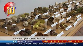 340 druhov slovenských húb | 6.10.2023