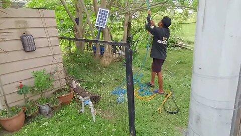 URBAN GARDEN TREE TRIMMING (SAFETY FIRST)