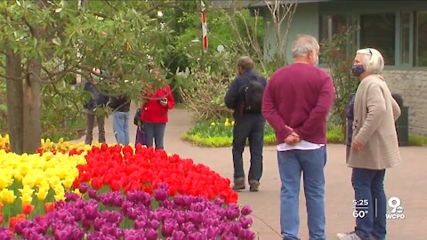 Red Door Project showing artists in bloom at Cincinnati Zoo