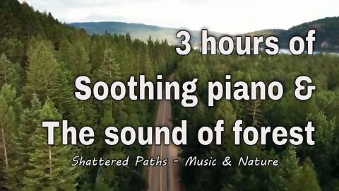Soothing music with piano and forest sound for 3 hours, relaxation music for stress relief