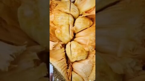 Have you ever seen a Jackfruit in real life