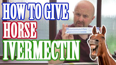How to administer horse paste Ivermectin.