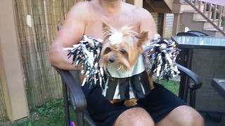 Funny Puppy Is The Cutest Cheerleader Ever