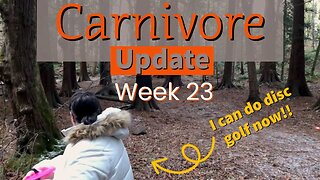 Carnivore Diet Update Week 23