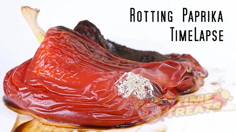 Rotting Paprika Time Lapse - Vegetable Decomposition