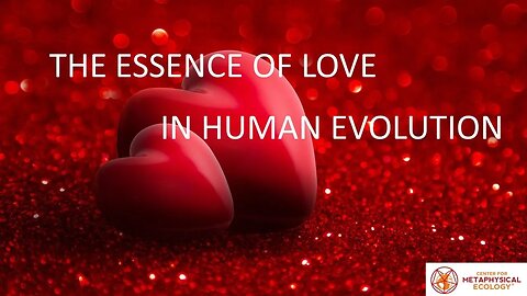 The Essence of Love in Human Evolution