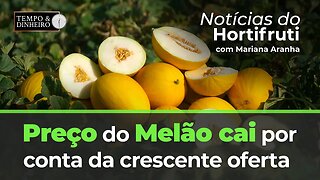 Notícias do Hortifrúti de olho no preço do Melão amarelo.