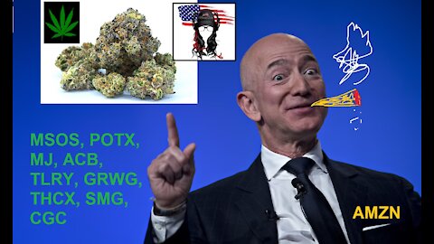 AMZN pushes Cannabis stocks way up, Reddit Apes push AMC to record high, Dr Fauci's fall from grace