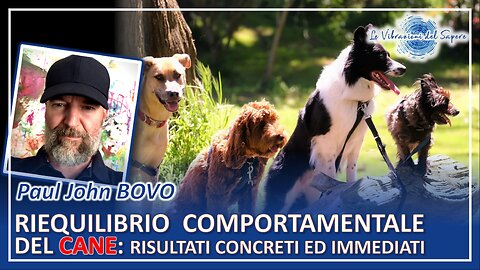 Riequilibrio comportamentale del cane: risultati concreti ed immediati - Paul John Bovo