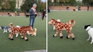 Dog pulls off flawless giraffe impersonation, confuses all the other dogs