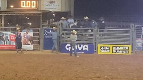 Bull Riding at a Rodeo