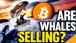 Bitcoin Whales Making BIG Moves! (Time To Sell?)