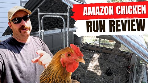 Amazon Chicken Run Review | 18. Months After
