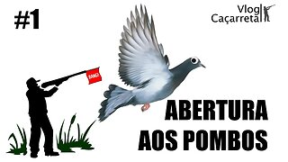 Abertura aos Pombos 2023/2024 | VLOG CAÇARRETA #01