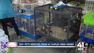 KC Pet Project to start adopting out 270 animals found in one home