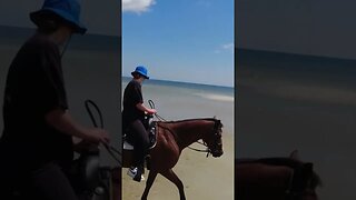 Sand 🏖, Sun 😎and horses! 🐴