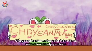 Chrysanthemum